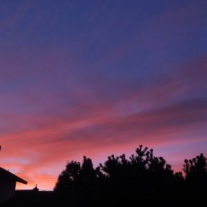 Meet your Posher, Ava